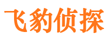 边坝侦探公司